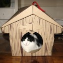 Cat Chalet