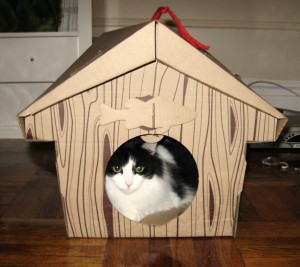 Cat Chalet