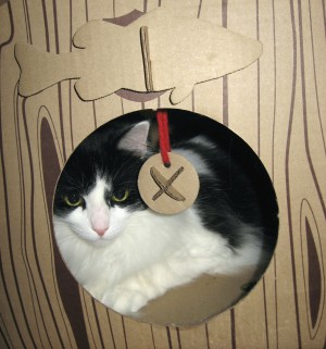 Cat Chalet