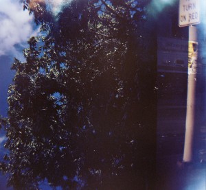 Diana F+ camera