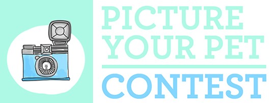 Picture Your Pet Photo Contest | UncommonGoods