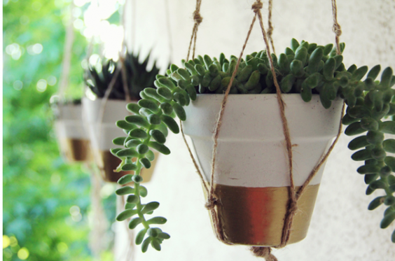 Painted Terra Cotta Pots