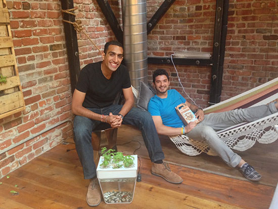 Nikhil and Alejandro of Back to the Roots | UncommonGoods