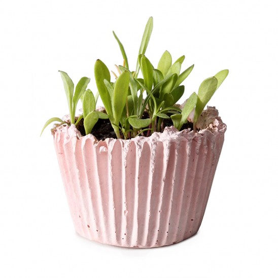 DIY Cupcake Planter