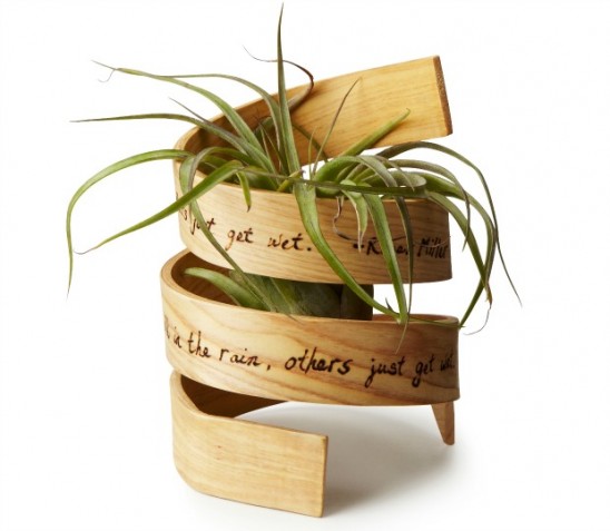 Inspiration Bent Wood Planter | UncommonGoods