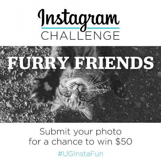 Instagram Challenge | Furry Friends | #UGInstaFun | UncommonGoods