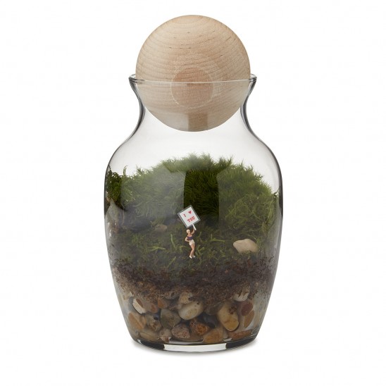 Love Grows Here Terrarium | UncommonGoods 