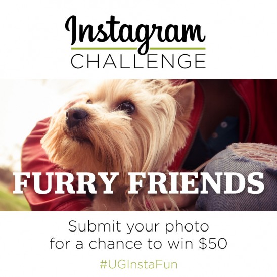 Instagram Challenge | Furry Friends (Part 2)