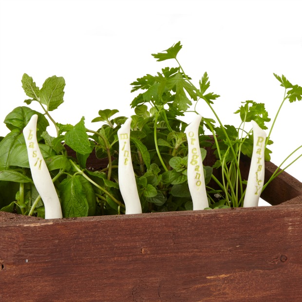 Can-Can Herb Markers | UncommonGoods