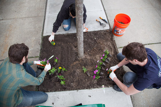 Planting Flowers