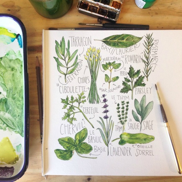 Fresh Herbs | Alyson Thomas