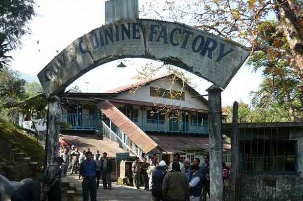 Government quinine factory, Mungpoo, India