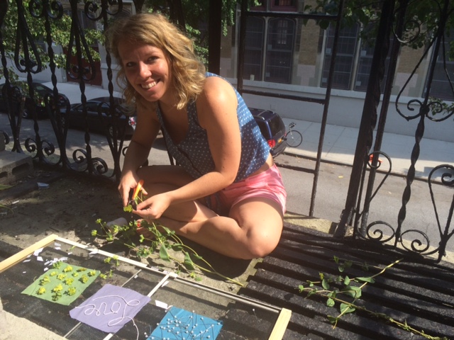 Making solar photography 