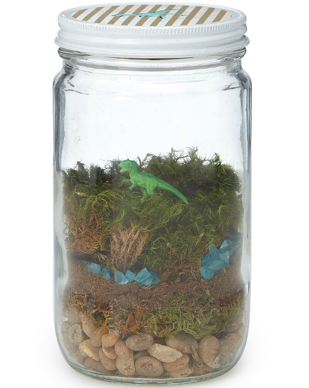 DIY Dinosaur Terrarium Kit | UncommonGoods