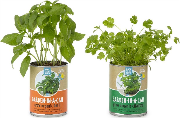 Garden in a Can - Set of 4 - UncommonGoods