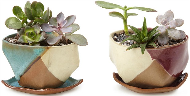 Mauna Planter and Dish | UncommonGoods