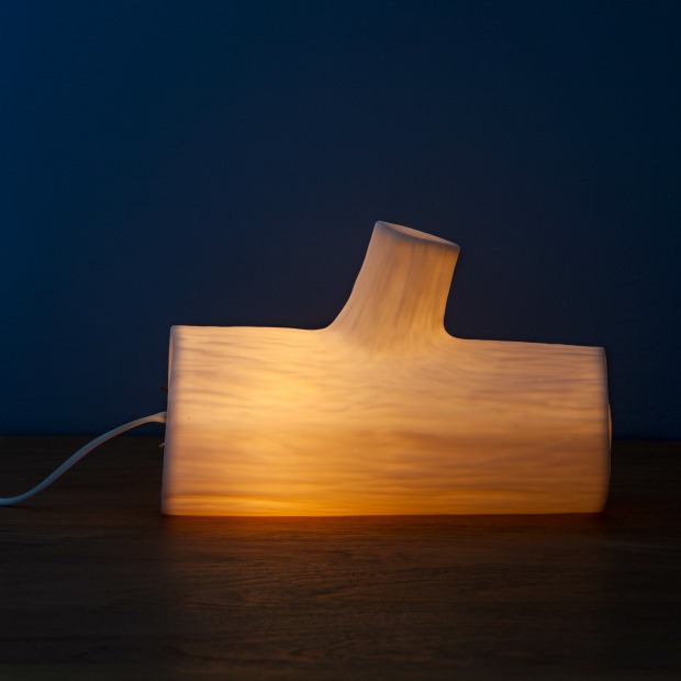 Glowing Log Lamp