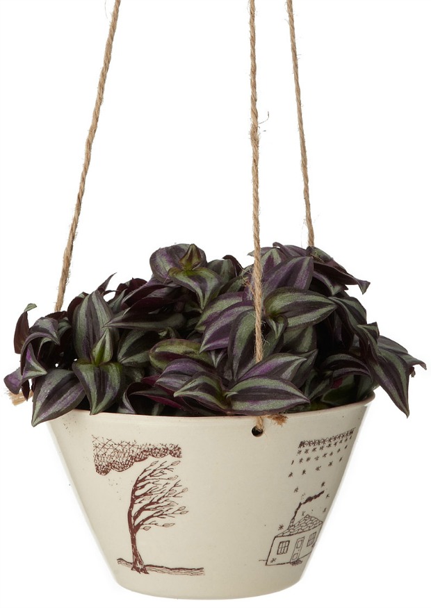 Four Seasons Hanging Planter | UncommonGoods