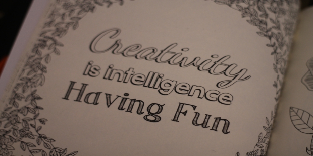 Creativity is Intelligence Having Fun 