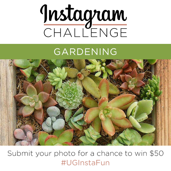 Instagram Challenge | Gardening | UncommonGoods