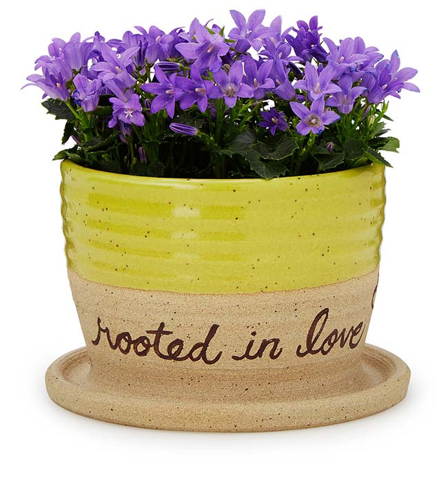 Rooted in Love Planter | UncommonGoods