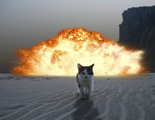 Cat coming out of flames