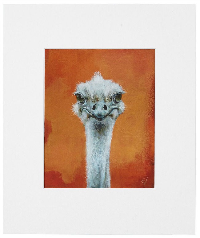 Ned – Ostrich Portrait | UncommonGoods