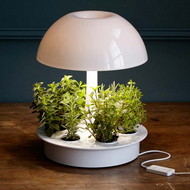 Ambienta Grow Lamp | UncommonGoods