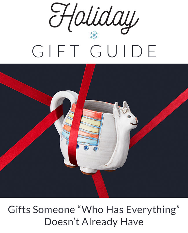 holiday2016-giftguide-title-haseverything