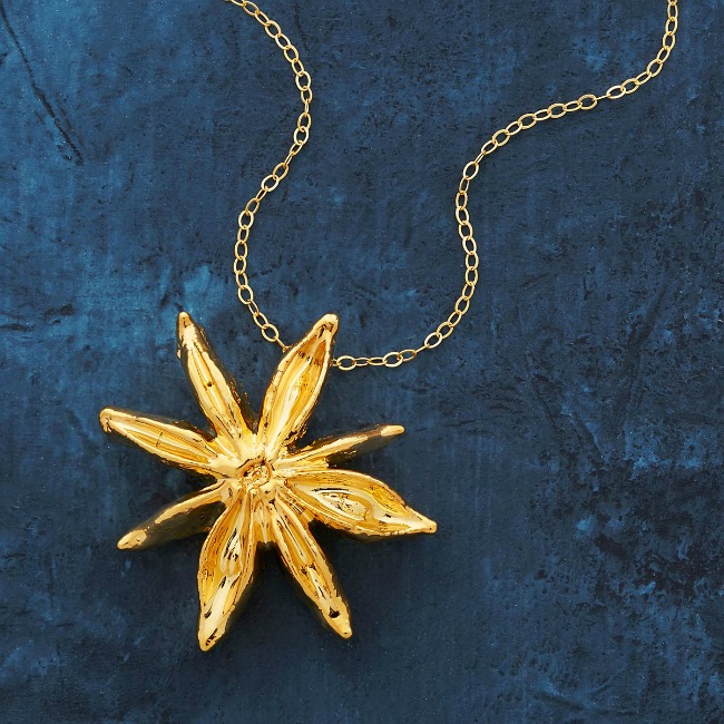 Dipped Star Anise Foodie Necklace - UncommonGoods