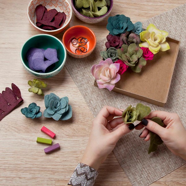 Felt Succulents Kit - UncommonGoods