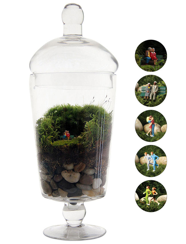 Grow Old With You Terrarium