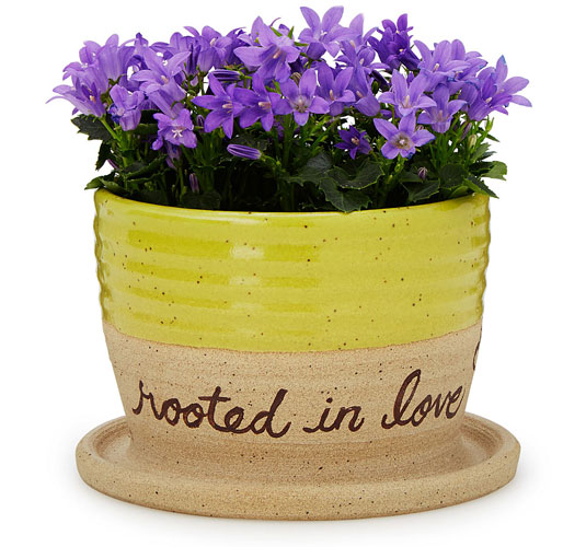 Rooted in Love Planter - UncommonGoods