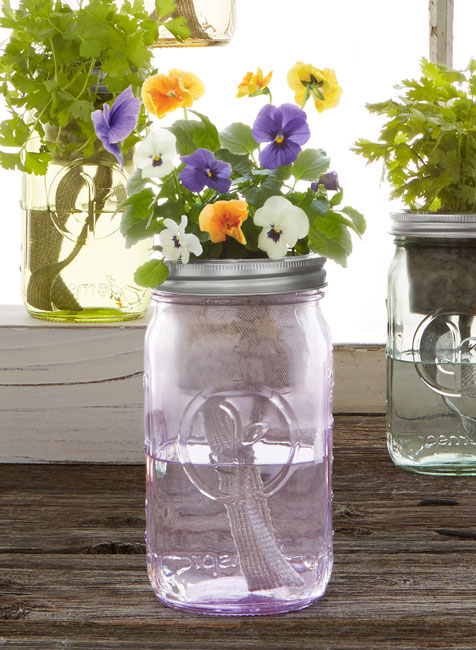 Mason Jar Indoor Flower Garden - UncommonGoods