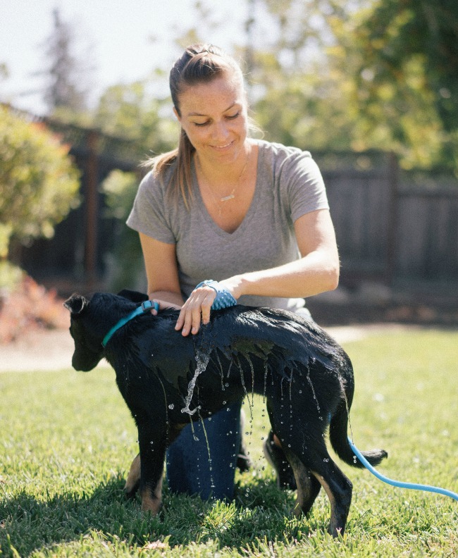 Aquapaw Pet Bathing Mitt | UncommonGoods