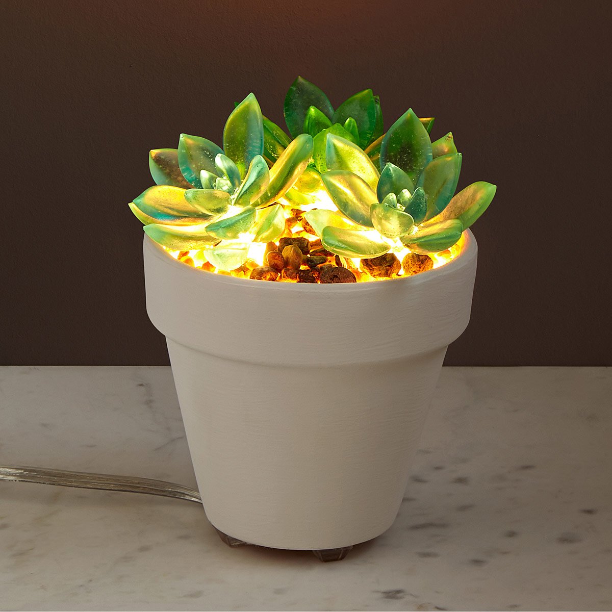 Let It Glow Succulent Lamp | UncommonGoods