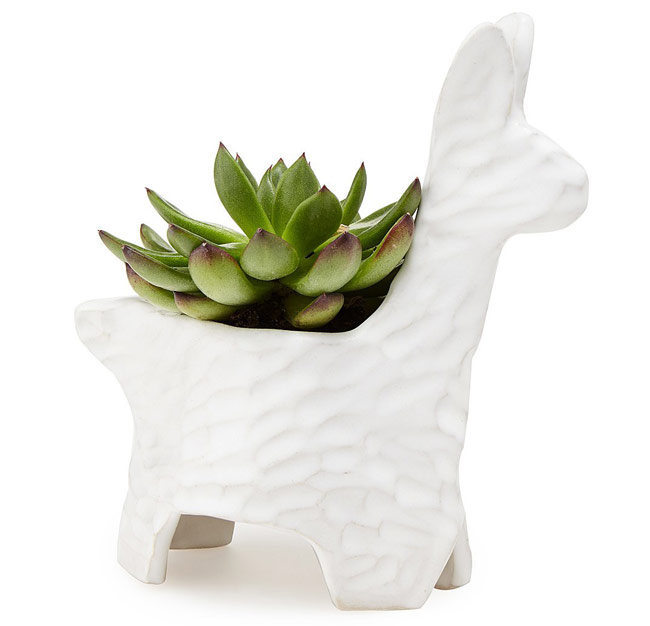 Llama Planter | UncommonGoods