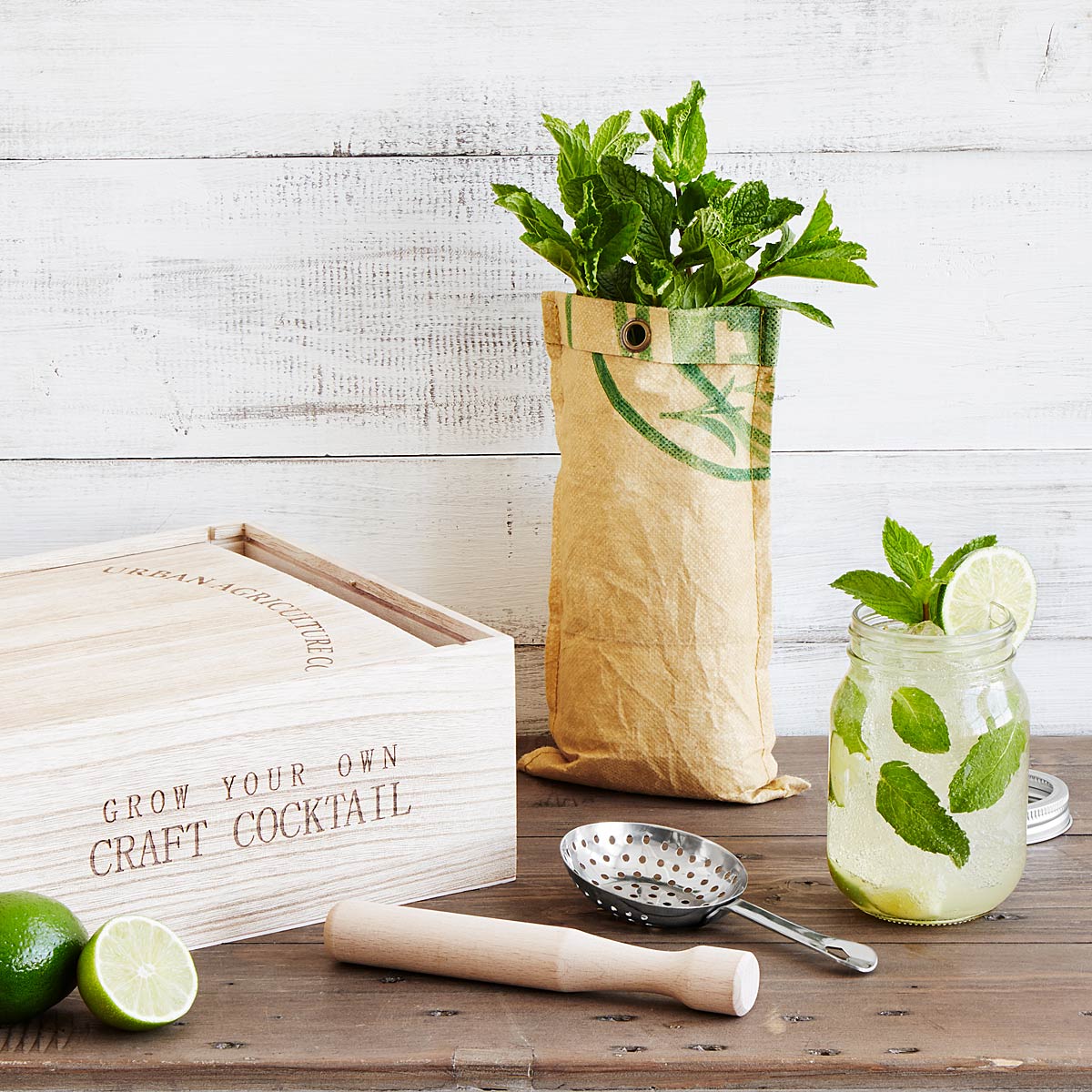 Grow & Craft Mint Mojito Kit | UncommonGoods