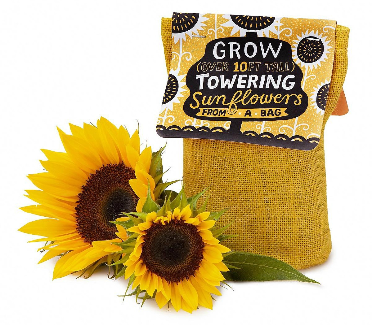 Sunflower in a Bag Grow Kit | UncommonGoods