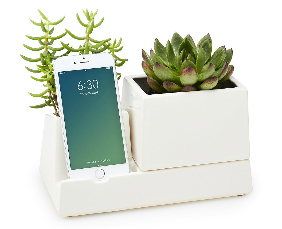 Smartphone Valet Planter | UncommonGoods