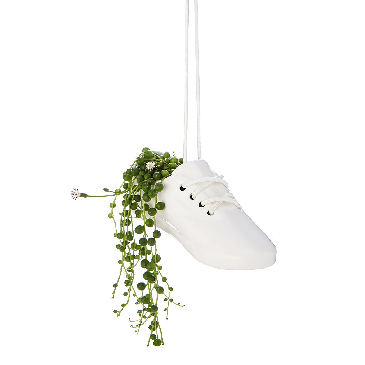 Sneaker Hanging Planter | UncommonGoods